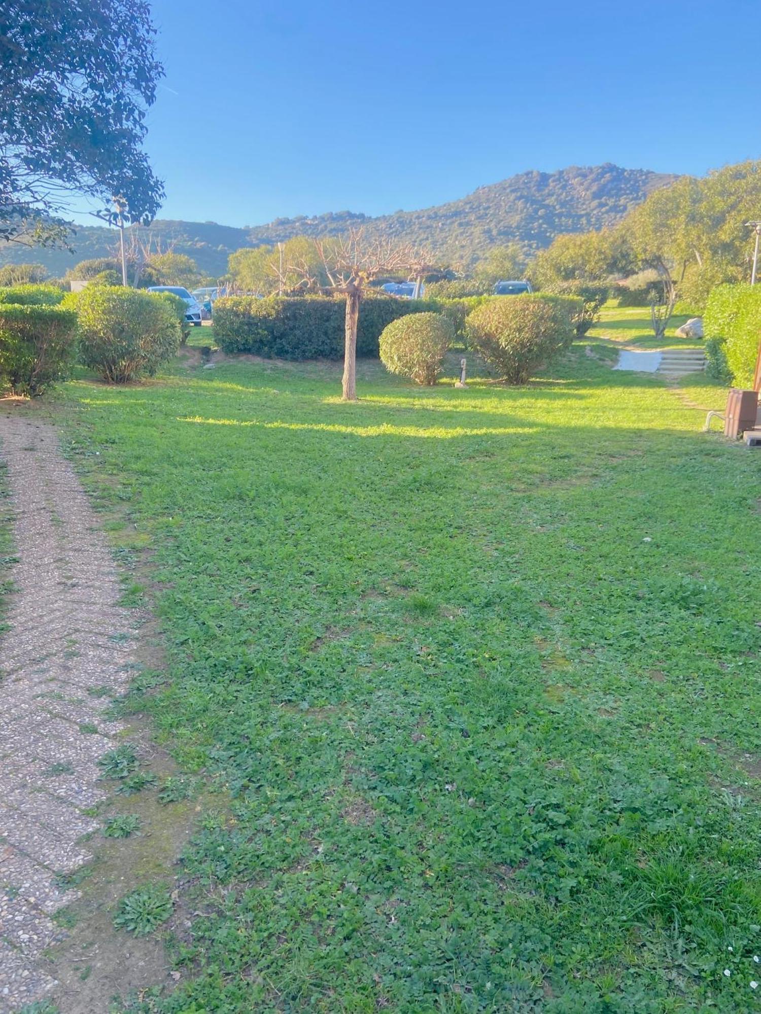 Tres Bel Appartement Les Pieds Dans L'Eau Appietto Dış mekan fotoğraf