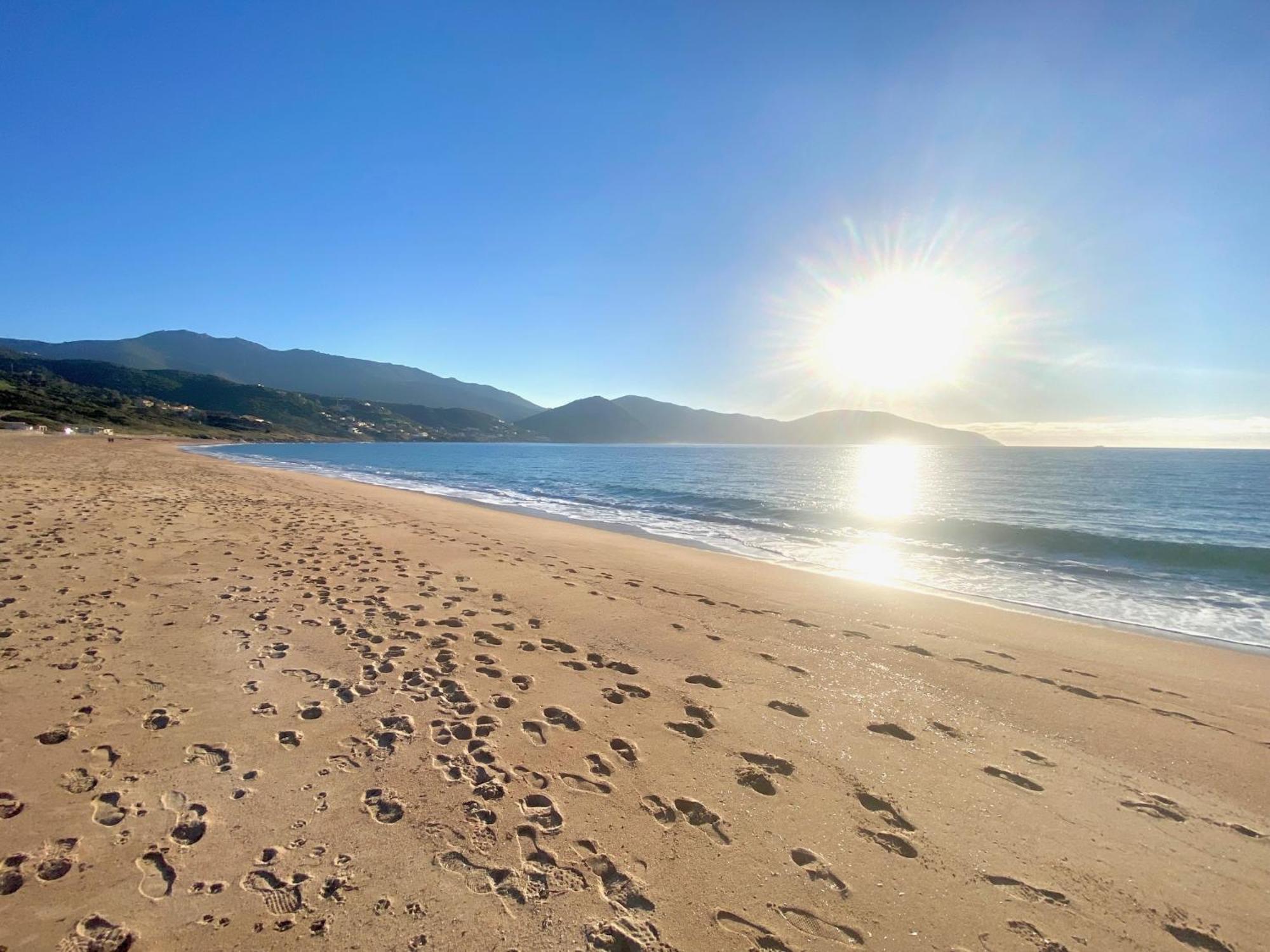 Tres Bel Appartement Les Pieds Dans L'Eau Appietto Dış mekan fotoğraf