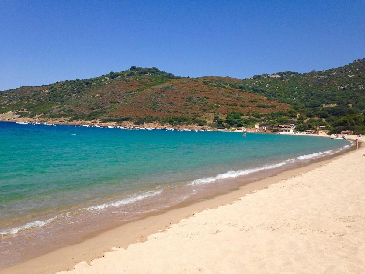 Tres Bel Appartement Les Pieds Dans L'Eau Appietto Dış mekan fotoğraf